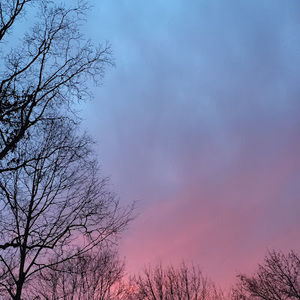 Meet your Posher, Elias